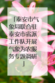泰安市气象局联合驻泰安市省派工作队开展气象为农服务专题调研
