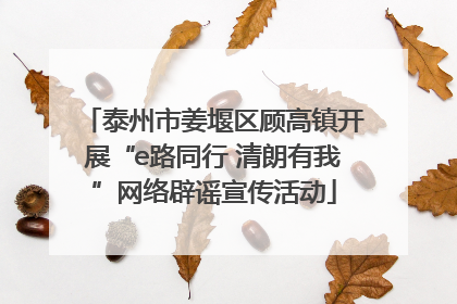 泰州市姜堰区顾高镇开展“e路同行 清朗有我”网络辟谣宣传活动