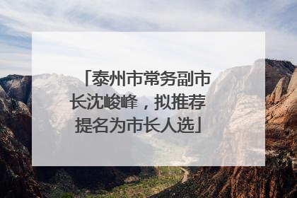 泰州市常务副市长沈峻峰，拟推荐提名为市长人选