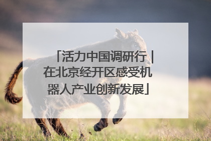 活力中国调研行｜在北京经开区感受机器人产业创新发展