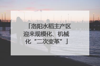 洛阳水稻主产区迎来规模化、机械化“二次变革”