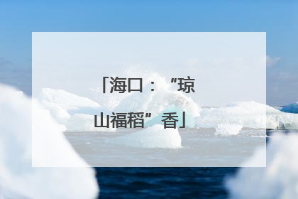 海口：“琼山福稻”香