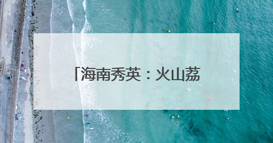 海南秀英：火山荔枝王串起乡村振兴“甜蜜产业链”