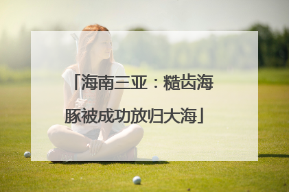 海南三亚：糙齿海豚被成功放归大海