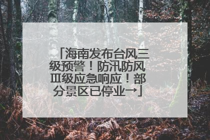 海南发布台风三级预警！防汛防风Ⅲ级应急响应！部分景区已停业→