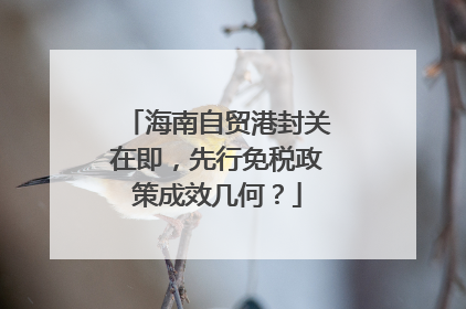 海南自贸港封关在即，先行免税政策成效几何？