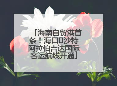 海南自贸港首条！海口⇌沙特阿拉伯吉达国际客运航线开通