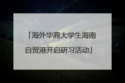 海外华裔大学生海南自贸港开启研习活动