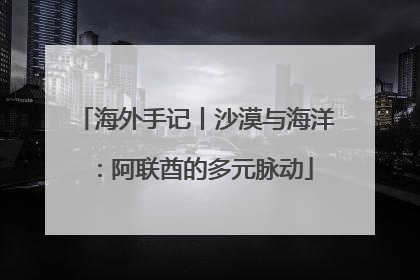 海外手记丨沙漠与海洋：阿联酋的多元脉动