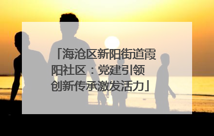 海沧区新阳街道霞阳社区：党建引领 创新传承激发活力