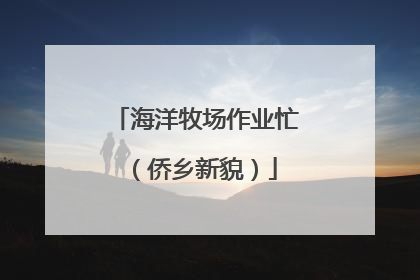 海洋牧场作业忙（侨乡新貌）