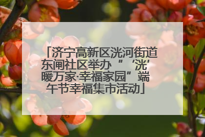 济宁高新区洸河街道东闸社区举办“‘洸’暖万家·幸福家园”端午节幸福集市活动