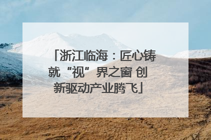 浙江临海：匠心铸就“视”界之窗 创新驱动产业腾飞