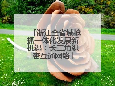 浙江全省域抢抓一体化发展新机遇：长三角织密互通网络
