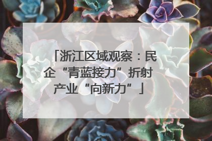 浙江区域观察：民企“青蓝接力”折射产业“向新力”