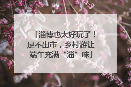 淄博也太好玩了！足不出市，乡村游让端午充满“淄”味