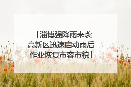 淄博强降雨来袭 高新区迅速启动雨后作业恢复市容市貌