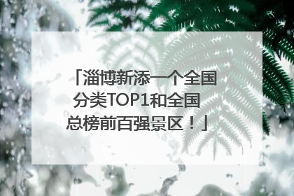 淄博新添一个全国分类TOP1和全国总榜前百强景区！