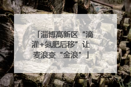 淄博高新区“滴灌+氮肥后移”让麦浪变“金浪”
