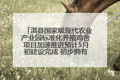 淇县国家级现代农业产业园标准化养殖鸡舍项目加速推进预计5月初建设完成 初步拥有年出栏肉鸡300万只生产能力