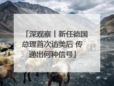 深观察丨新任德国总理首次访美后 传递出何种信号