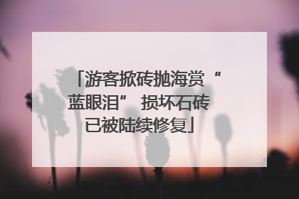 游客掀砖抛海赏“蓝眼泪” 损坏石砖已被陆续修复