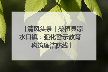 清风头条｜桑植县凉水口镇：强化警示教育 构筑廉洁防线
