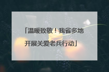温暖致敬！我省多地开展关爱老兵行动
