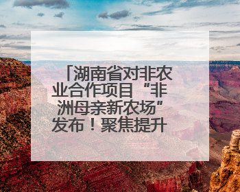 湖南省对非农业合作项目“非洲母亲新农场”发布！聚焦提升非洲妇女能力与家庭福祉