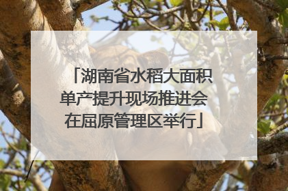 湖南省水稻大面积单产提升现场推进会在屈原管理区举行
