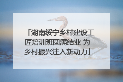 湖南绥宁乡村建设工匠培训班圆满结业 为乡村振兴注入新动力