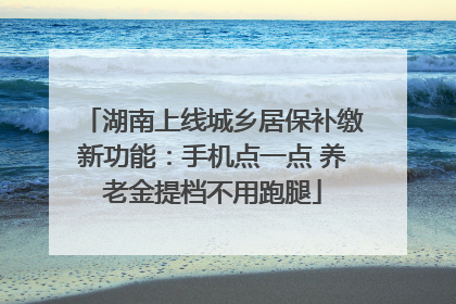 湖南上线城乡居保补缴新功能：手机点一点 养老金提档不用跑腿