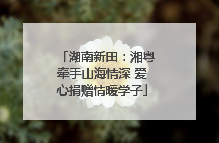 湖南新田：湘粤牵手山海情深 爱心捐赠情暖学子