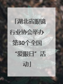 湖北省眼镜行业协会举办第30个全国“爱眼日”活动