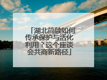 湖北简牍如何传承保护与活化利用？这个座谈会共商新路径