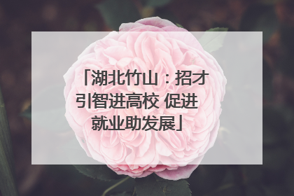 湖北竹山：招才引智进高校 促进就业助发展