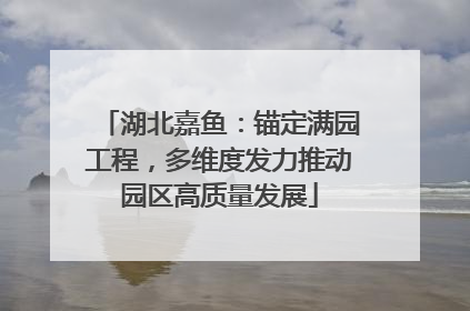 湖北嘉鱼：锚定满园工程，多维度发力推动园区高质量发展