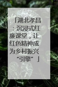 湖北孝昌：沉浸式红廉课堂，让红色精神成为乡村振兴“引擎”