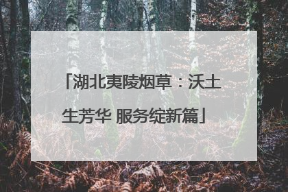 湖北夷陵烟草：沃土生芳华 服务绽新篇