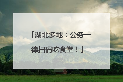 湖北多地：公务一律扫码吃食堂！