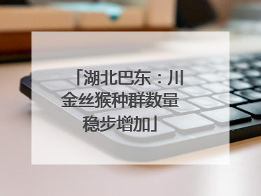 湖北巴东：川金丝猴种群数量稳步增加