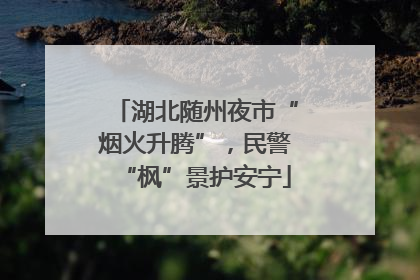 湖北随州夜市“烟火升腾”，民警“枫”景护安宁