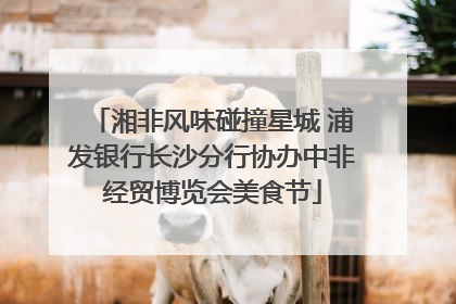 湘非风味碰撞星城 浦发银行长沙分行协办中非经贸博览会美食节