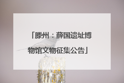 滕州：薛国遗址博物馆文物征集公告