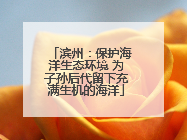 滨州：保护海洋生态环境 为子孙后代留下充满生机的海洋
