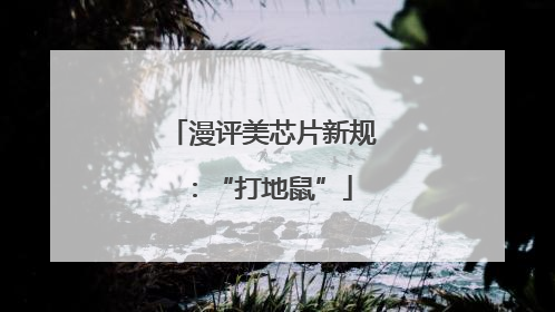 漫评美芯片新规：“打地鼠”