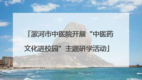 漯河市中医院开展“中医药文化进校园”主题研学活动