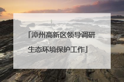 漳州高新区领导调研生态环境保护工作