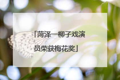 菏泽一柳子戏演员荣获梅花奖