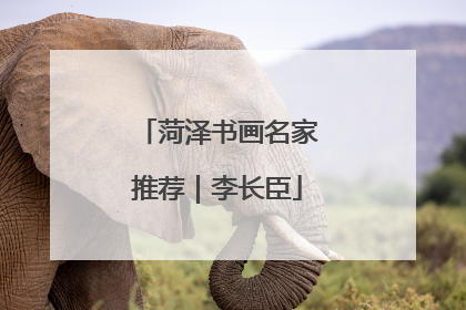 菏泽书画名家推荐｜李长臣